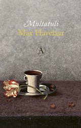Max Havelaar - Multatuli - 9789025312862