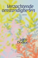 Verzachtende omstandigheden - Lotte Dodion - 9789025477486