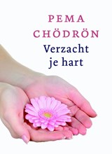 Verzacht je hart - Pema Chödrön - 9789025961527
