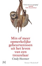 Min of meer opmerkelijke gebeurtenissen uit het leven van een treuzelaar - Cindy Hoetmer - 9789029093873
