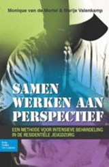 Samen werken aan perspectief - Monique van de Mortel ; Marije Valenkamp - 9789031385775