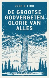 De grootse godvergeten glorie van alles - Josh Ritter - 9789038811475