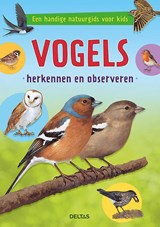 Vogels herkennen en observeren - Valerie TRACQUI - 9789044753479