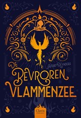 De bevroren vlammenzee - Astrid Reynders - 9789044856910