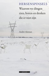 Hersenspinsels - André Aleman - 9789045017266