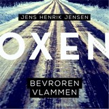 Bevroren vlammen - Jens Henrik Jensen - 9789046170953