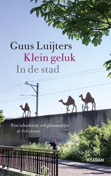 Klein geluk In de stad - Guus Luijters - 9789046824467