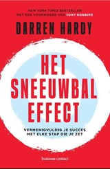 Het sneeuwbaleffect - Darren Hardy - 9789047017158