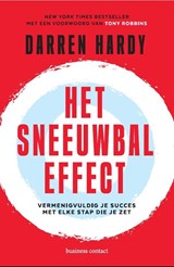 Het sneeuwbaleffect - Darren Hardy - 9789047017165