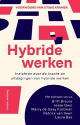 Hybride werken - Diverse auteurs - 9789047018582