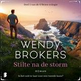 Stilte na de storm - Wendy Brokers - 9789049210595