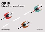 Grip bij psychose-gevoeligheid - Sanne van Eeghen - 9789058983268