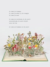 Poezieposter Plint Jan Hanlo 'ik noem je bloemen' / Su Blackwell
