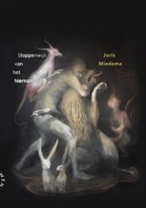 Sloppenwijk van het hiernamaals - Joris Miedema - 9789063381882