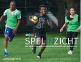 Spelinzicht - Gwen Weeldenburg ; Enrico Zondag ; Frank Kok - 9789072335692