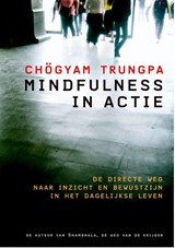 Mindfulness in actie - Chögyam Trungpa - 9789076681252