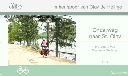 Onderweg naar St. Olav - Fietsroute Van Oslo naar Selanger Deel 2 - fietsgids Zweden / Noorwegen, VIA GAIA - Overig spiraalbinding - 9789083102634