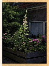 Polder VIII - Raimond Wouda - 9789083165813