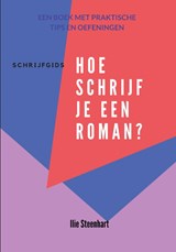 Schrijfgids - Hoe schrijf je een roman? - Ilie Steenhart - 9789083274577