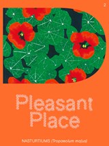 Pleasant Place #2 - Magazine - 9789083284316
