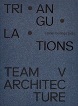 Triangulations - Hans Ibelings ; Josephine Jongbloed ; Kirsten Schipper - 9789083286082