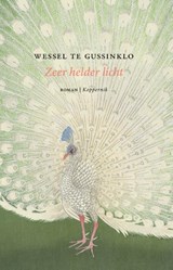 Zeer helder licht - Wessel te Gussinklo - 9789083347165