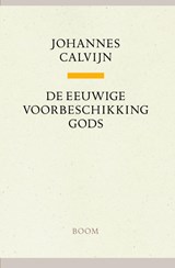 De eeuwige voorbeschikking Gods - Johannes Calvijn - 9789085067993