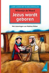 Jezus wordt geboren - Willemijn de Weerd - 9789089123640