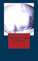 The Slow Glow of Winter - Daniel Tyler-Ray - 9789187713996