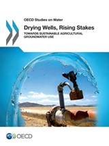 OECD Studies on Water Drying Wells, Rising Stakes - Oecd - 9789264238695