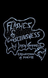 Flashes of Consciousness