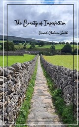 The Beauty of Imperfection - Daniel Chelariu-Smith - 9789357619325