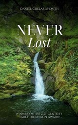 Never Lost - Daniel Chelariu-Smith - 9789363300439