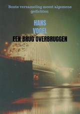Een brug overbruggen - Hans Vogel - 9789402140552