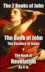 The 2 Books of John - Gerard Meerstadt - 9789402190816