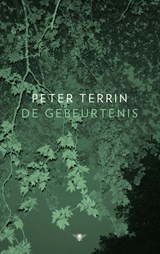 De gebeurtenis - Peter Terrin - 9789403192413
