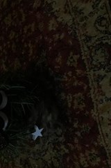 mooie kerstverhalen - Ans Linders - 9789403683805
