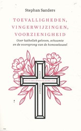 Toevalligheden, vingerwijzingen, voorzienigheid - Stephan Sanders - 9789460045035