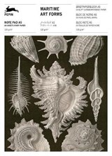 Maritime Art Forms - Pepin van Roojen - 9789460093371