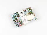Impressionism: Envelopes (C6) - Pepin Van Roojen - 9789460093807