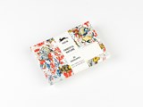 Art Nouveau: Envelopes (C6)  - Pepin Van Roojen - 9789460093821