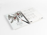 Art Nouveau - Pepin Van Roojen - 9789460098253