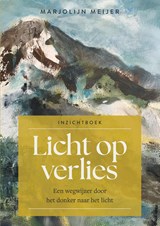 Licht op verlies - Marjolijn Meijer - 9789461266880