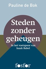 Steden zonder geheugen - Pauline de Bok - 9789462250024