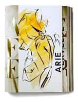 Arie Forever - Melvin Anderson ; Martijn Homan - 9789462265356