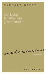 Een kleine filosofie van grote emoties: Enthousiasme - Barbara Baert - 9789462347281