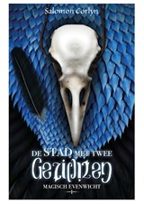 De stad met twee gezichten - Salomon Corlyn - 9789463083225