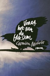 Vraag het aan de bliksem | Carmien Michels | 