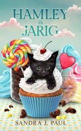 Hamley is jarig - Sandra J. Paul - 9789464208221