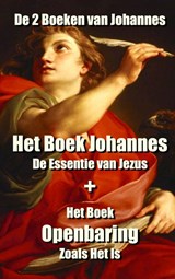 De 2 Boeken van Johannes - Gerard Meerstadt - 9789464359930